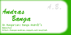 andras banga business card